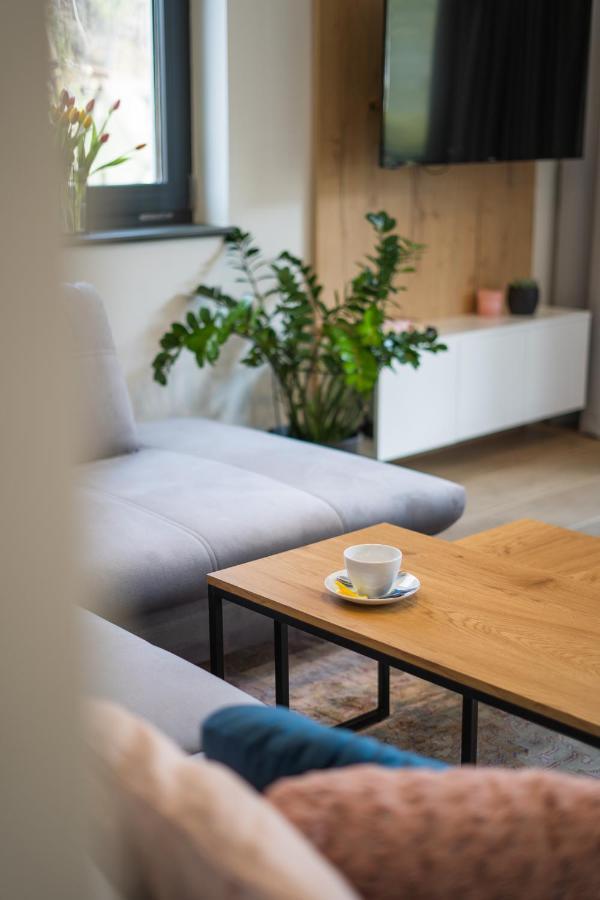 Apartament Nad Potokiem Skrzyczne Residence Szczyrk Extérieur photo